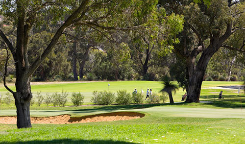Photo Credit: Wembley Golf Course