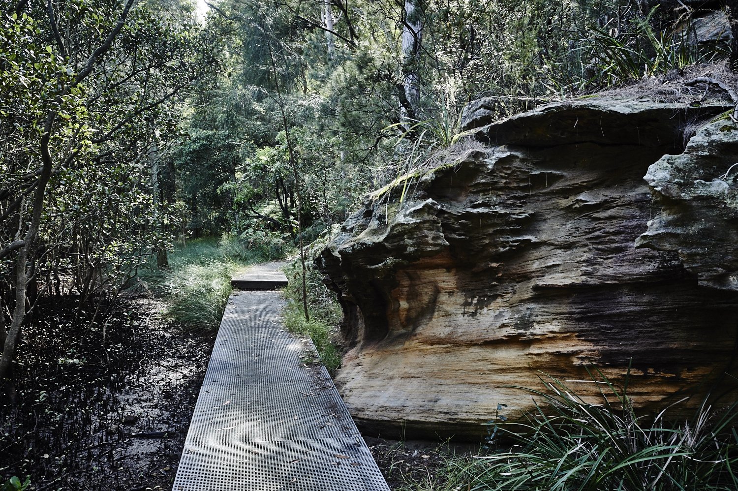 Lane Cove National Park