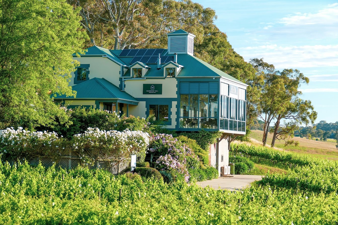 Hahndorf Hill