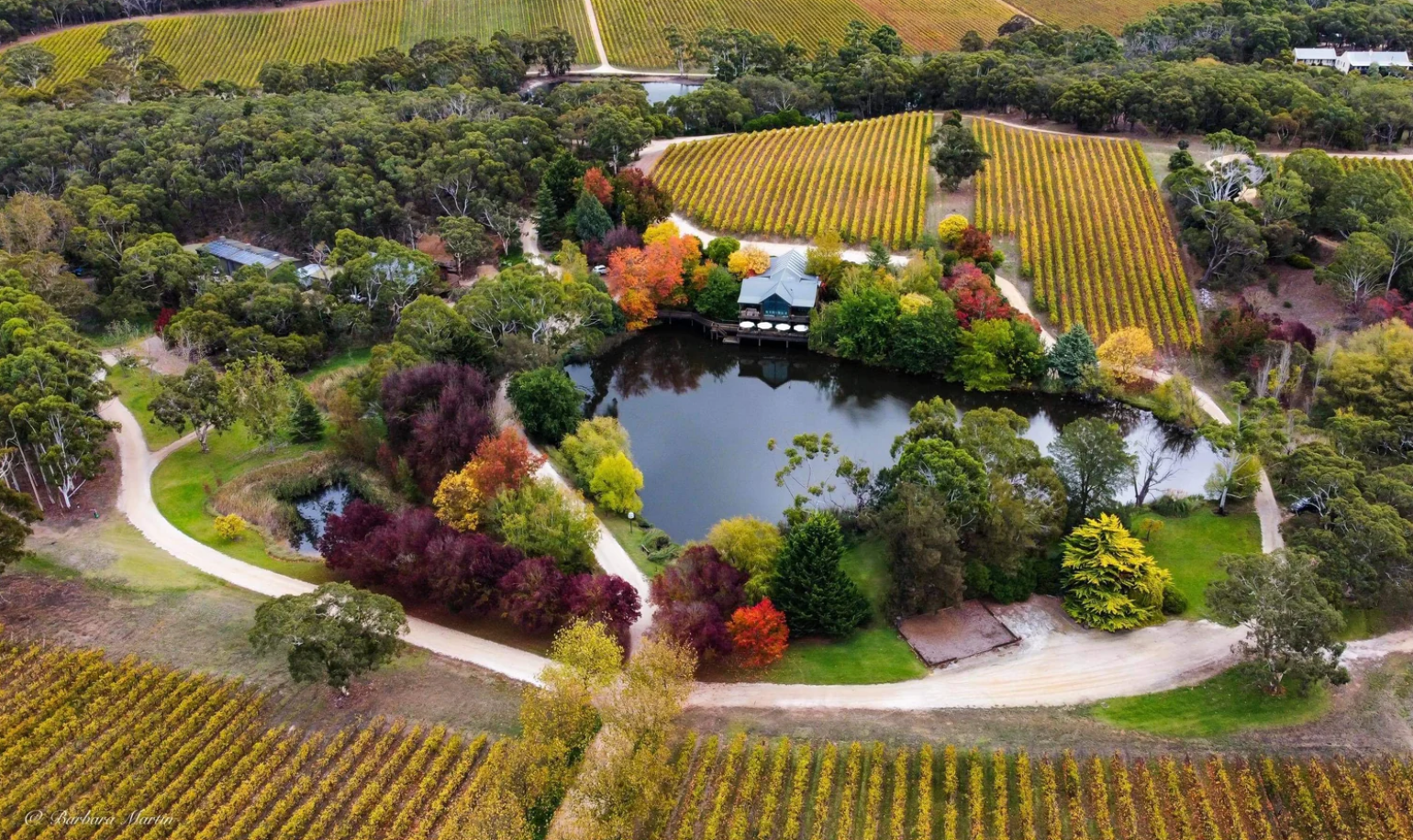 K1 Cellar Door by Geoff Hardy