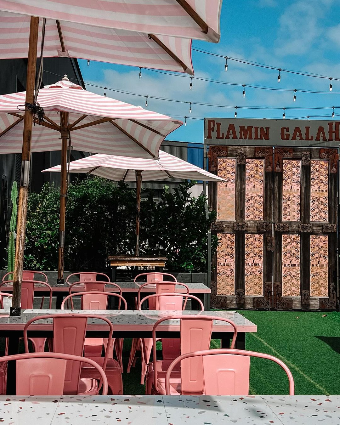 Flamin Galah