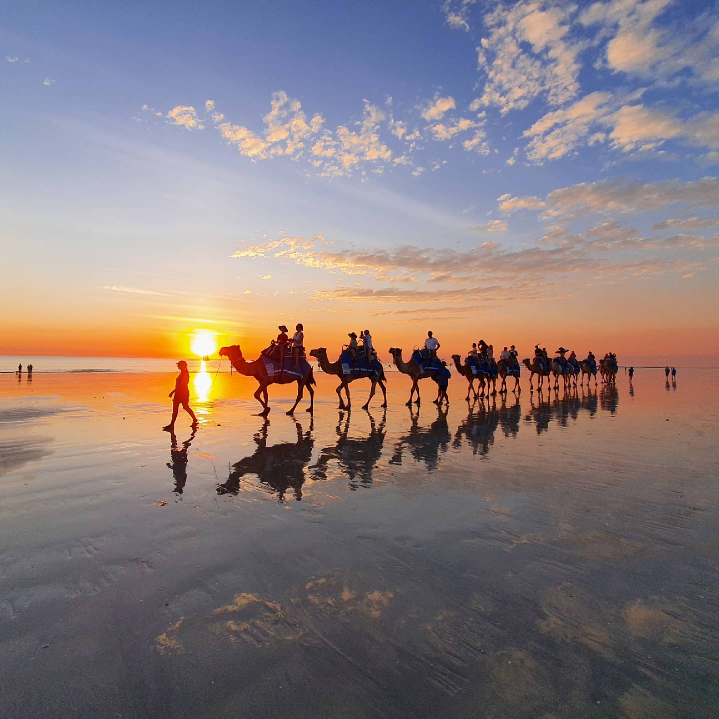 Sundowner Camel Tours