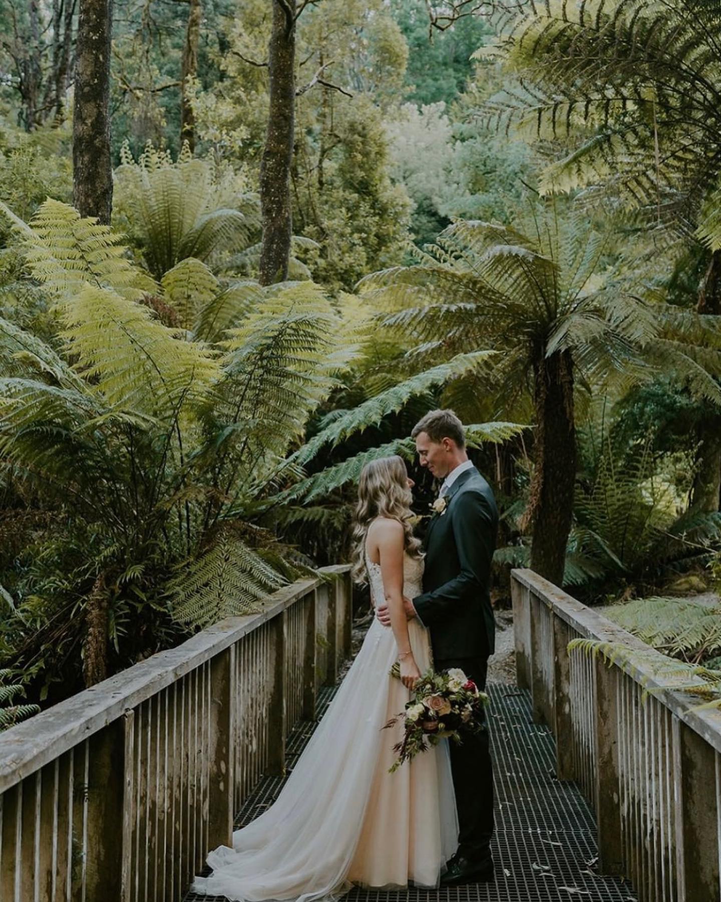 Lyrebird Falls 