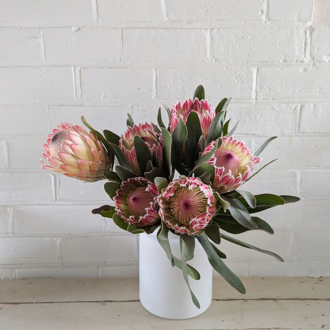 Wilderstems 