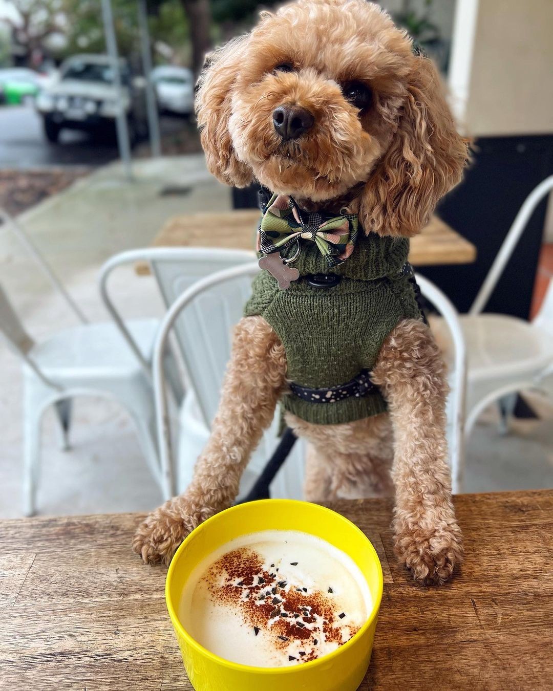 Naked Brew (Image Credit @pawfect_hugo)