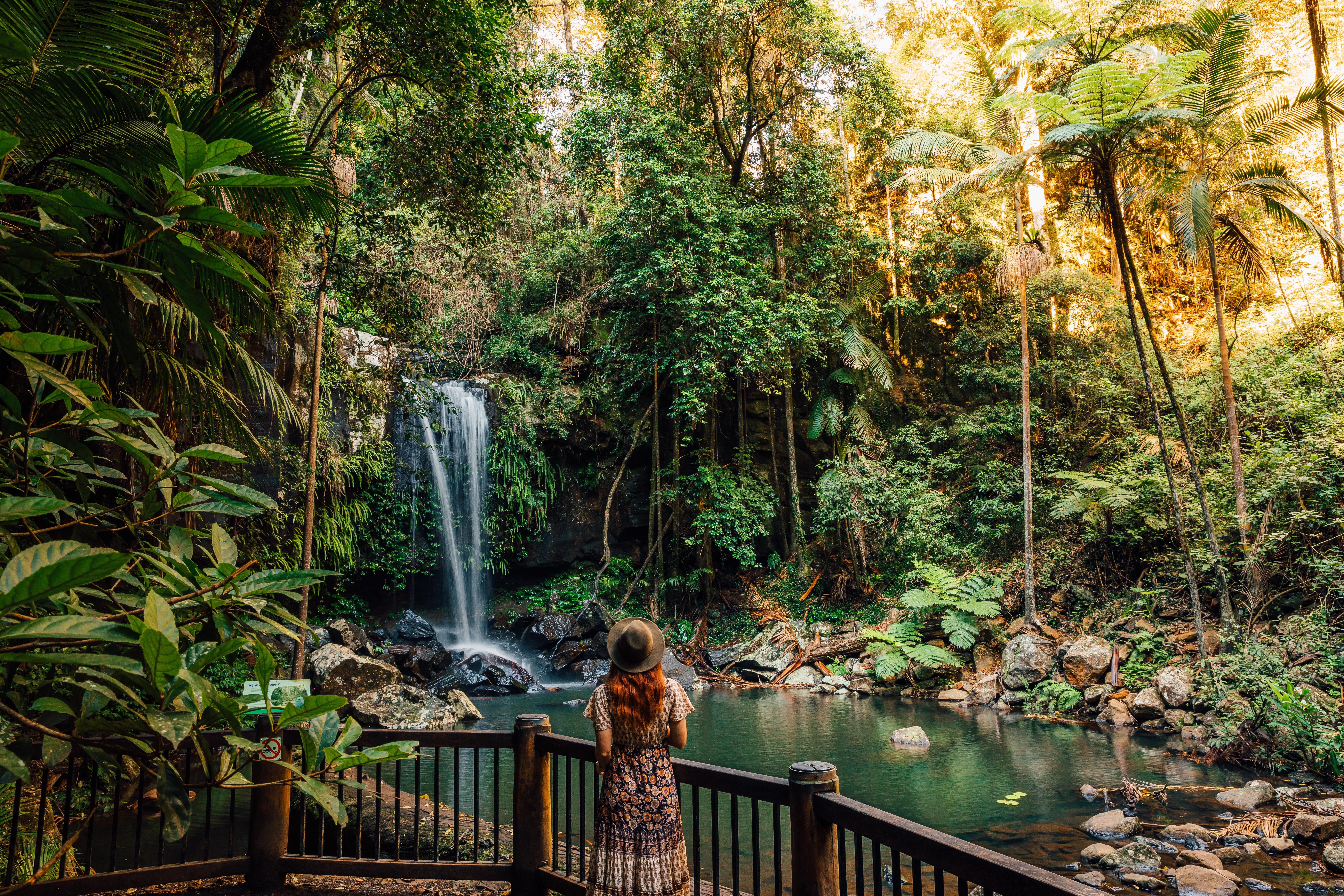 Curtis Falls (Photo credit: Tourism & Events QLD)