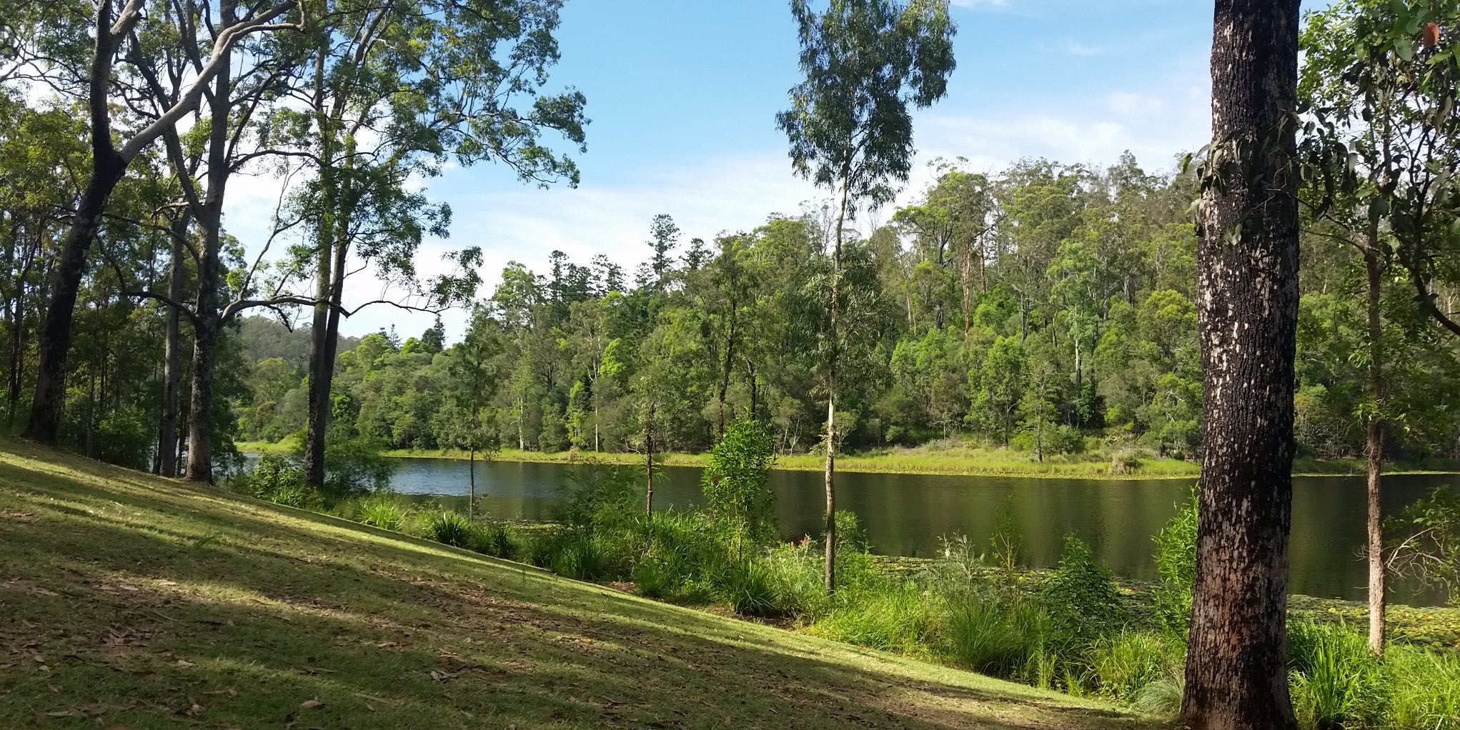 Enoggera Reservoir (Image Credit: Wild Swimming Australia)  