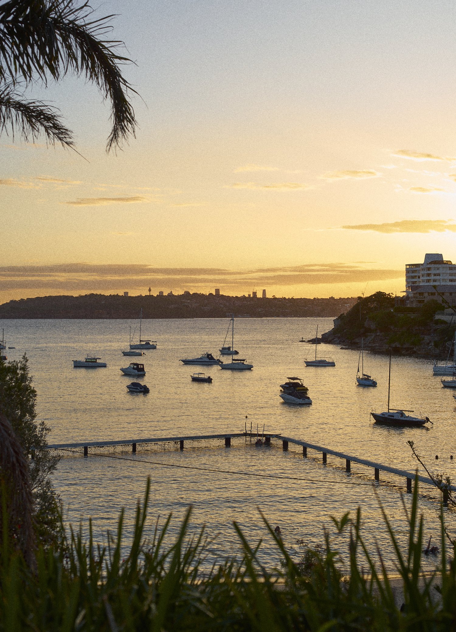 Little Manly (Image Credit: Ripples)