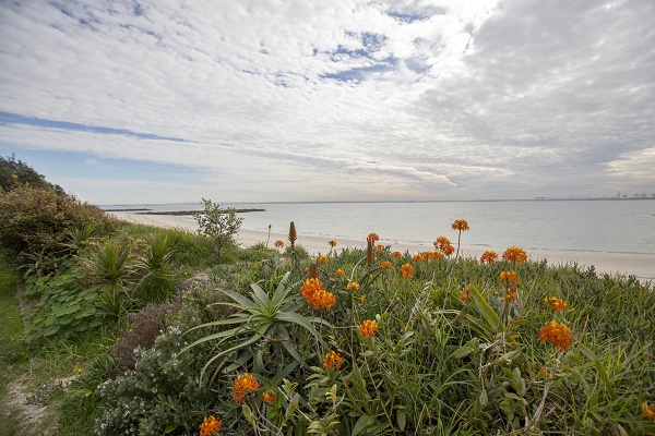 Silver Beach, Kurnell (Image Credit: Sutherland Shire Council) 