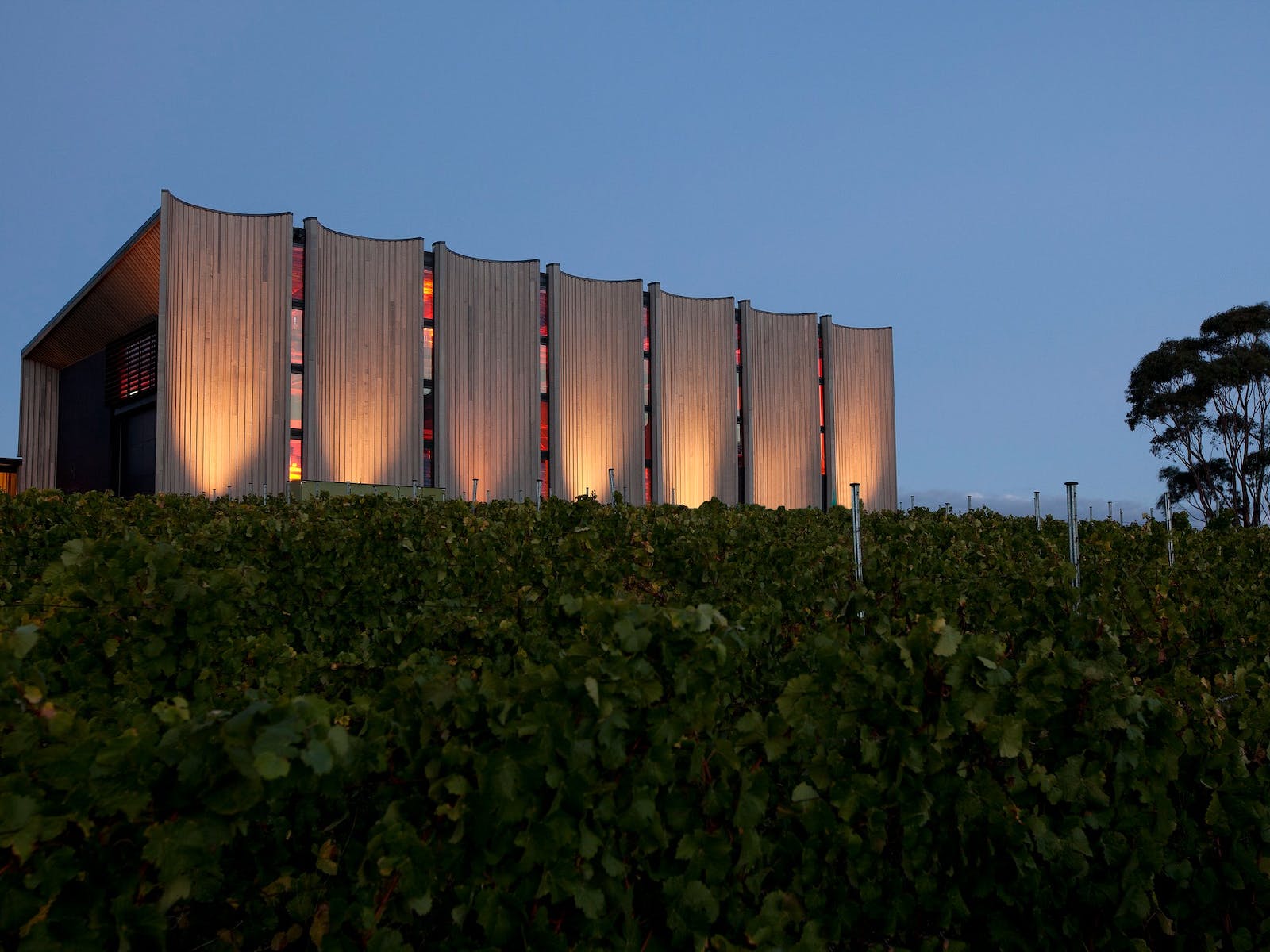 Moorilla Estate (Image Credit: MONA)