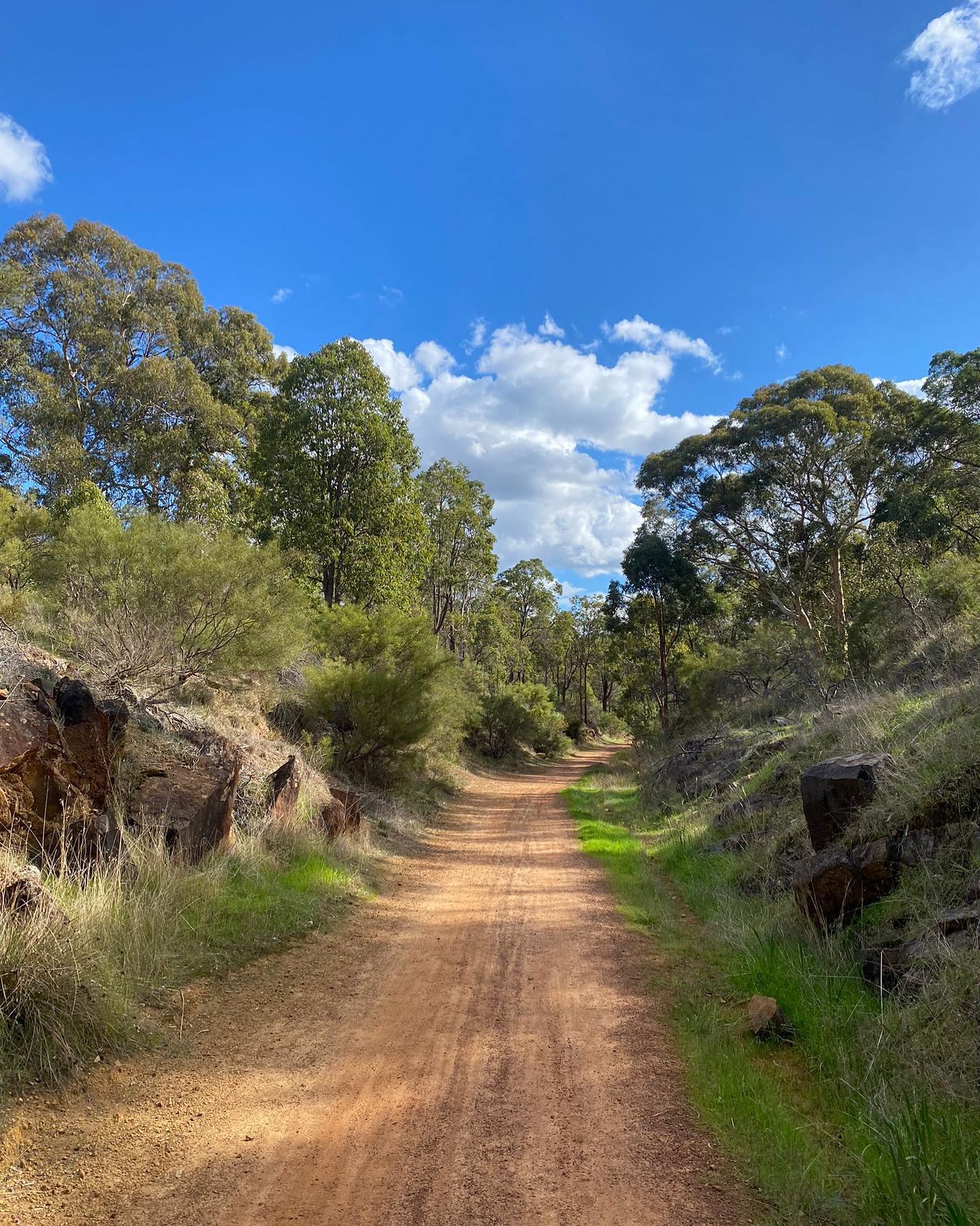 Hardey Road Bushwalking Circuit (Photo credit: @jayjaydeepee)