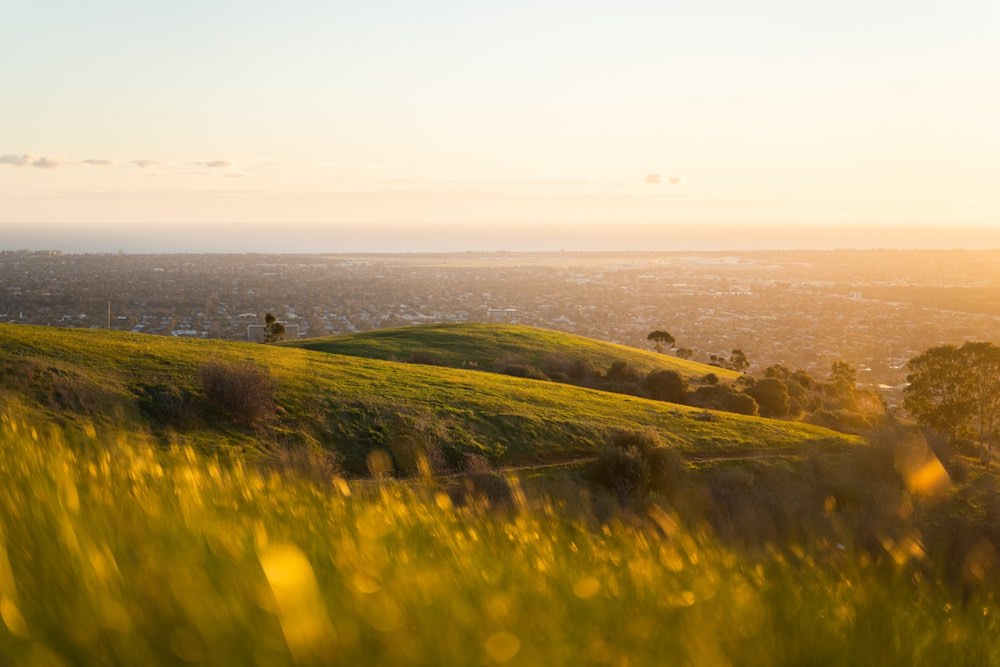 Mount Osmond Reserve (Image Credit: Jack Timberlake)
