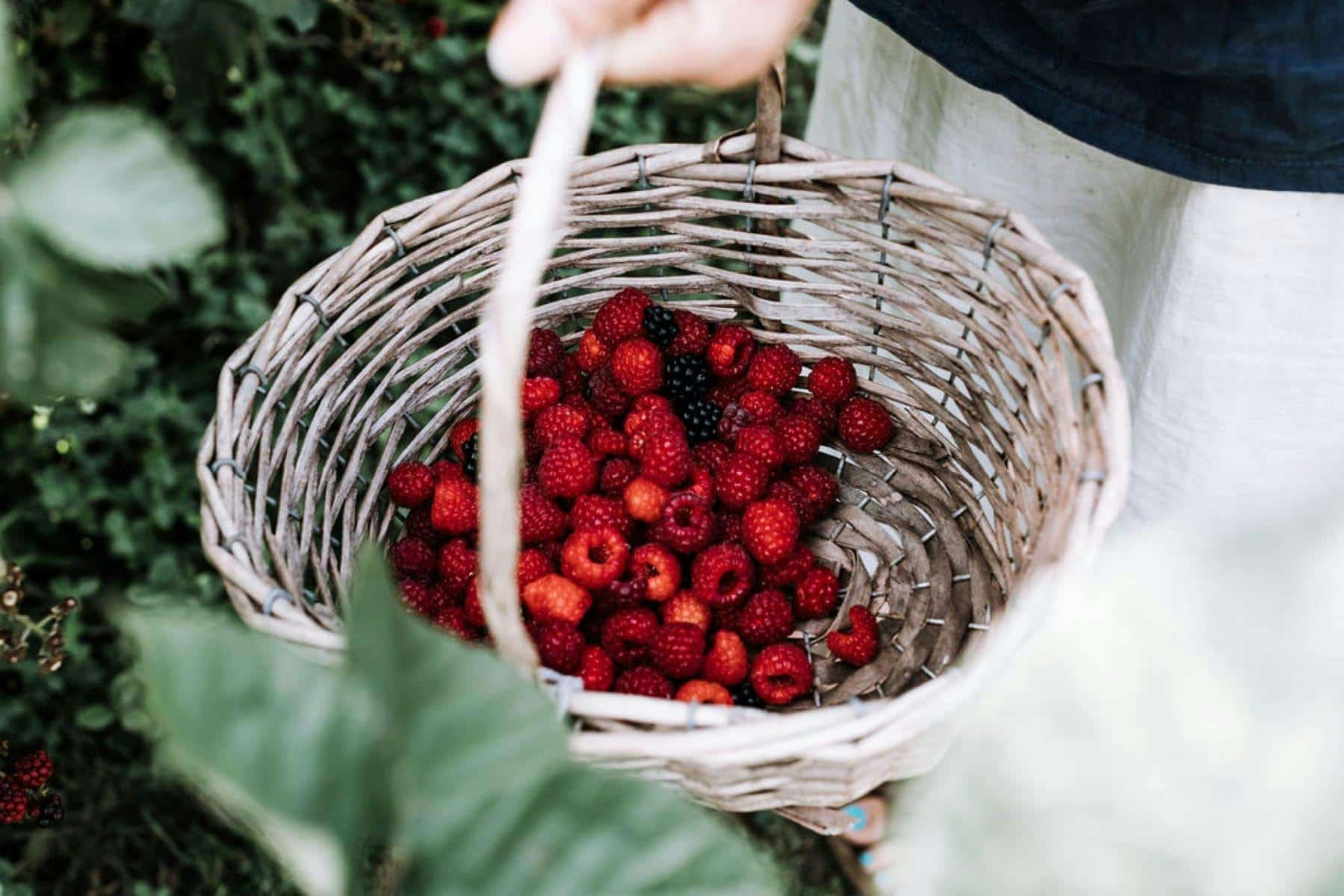 Black Barn Farm (Image Credit: Explore Beechworth)