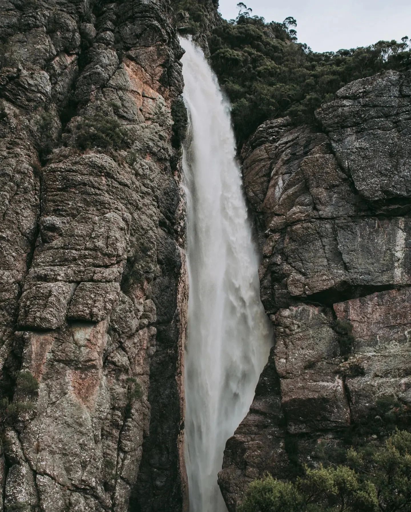 Minnow Falls (Image Credit: Visit North West Tasmania - @_cardencreative)