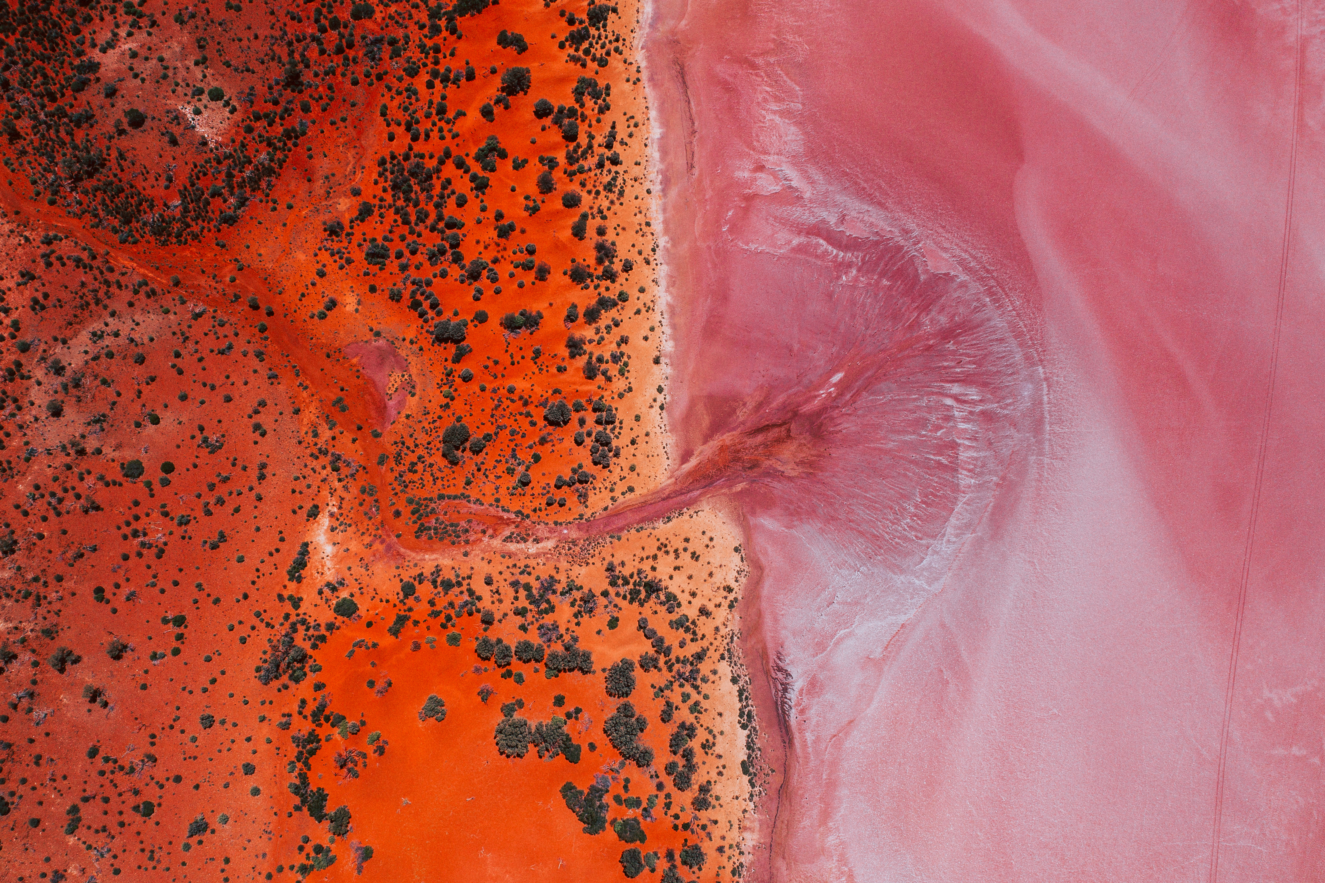 Lake Ballard (Photo credit: Tourism Western Australia & @apertunity)