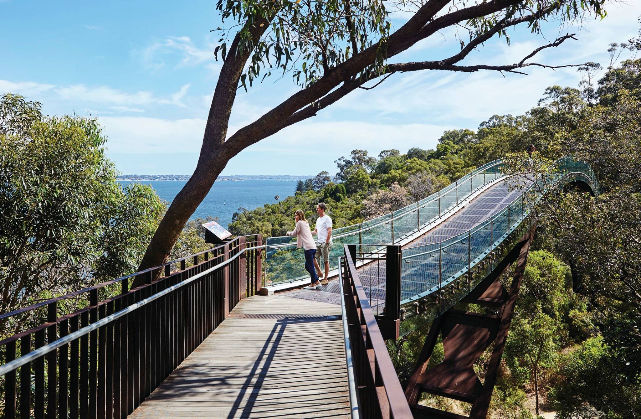 Kings Park (Image Credit: Tourism Western Australia)