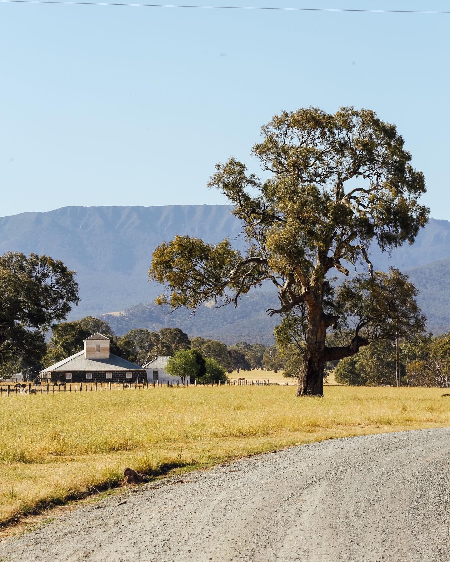 Mount William Station