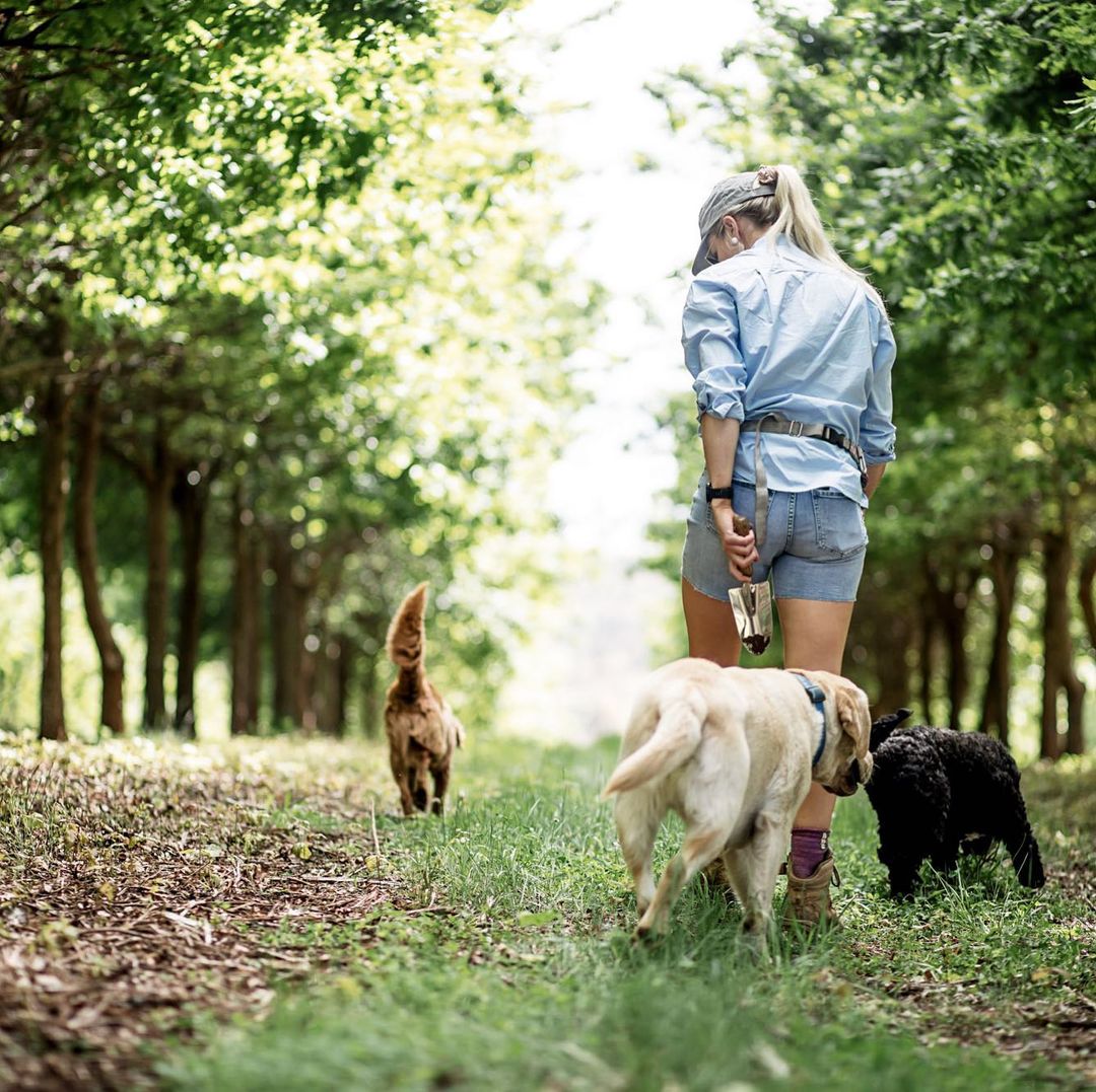 The Truffle Farm (Image credit: IG the_truffle_farm)