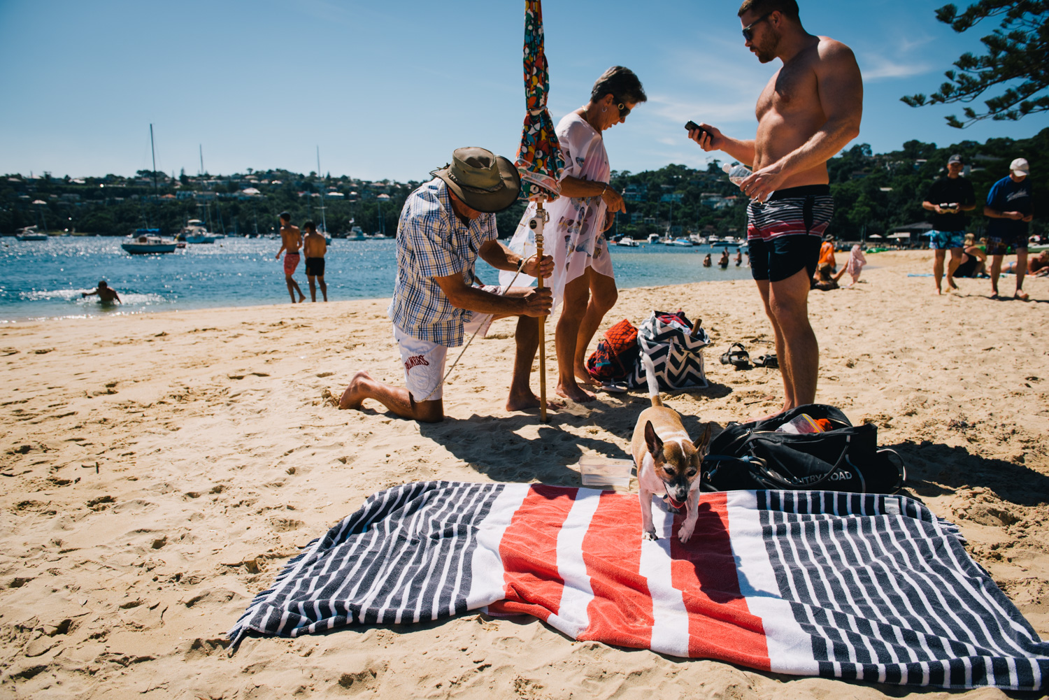 Sirius Cove, Mosman 