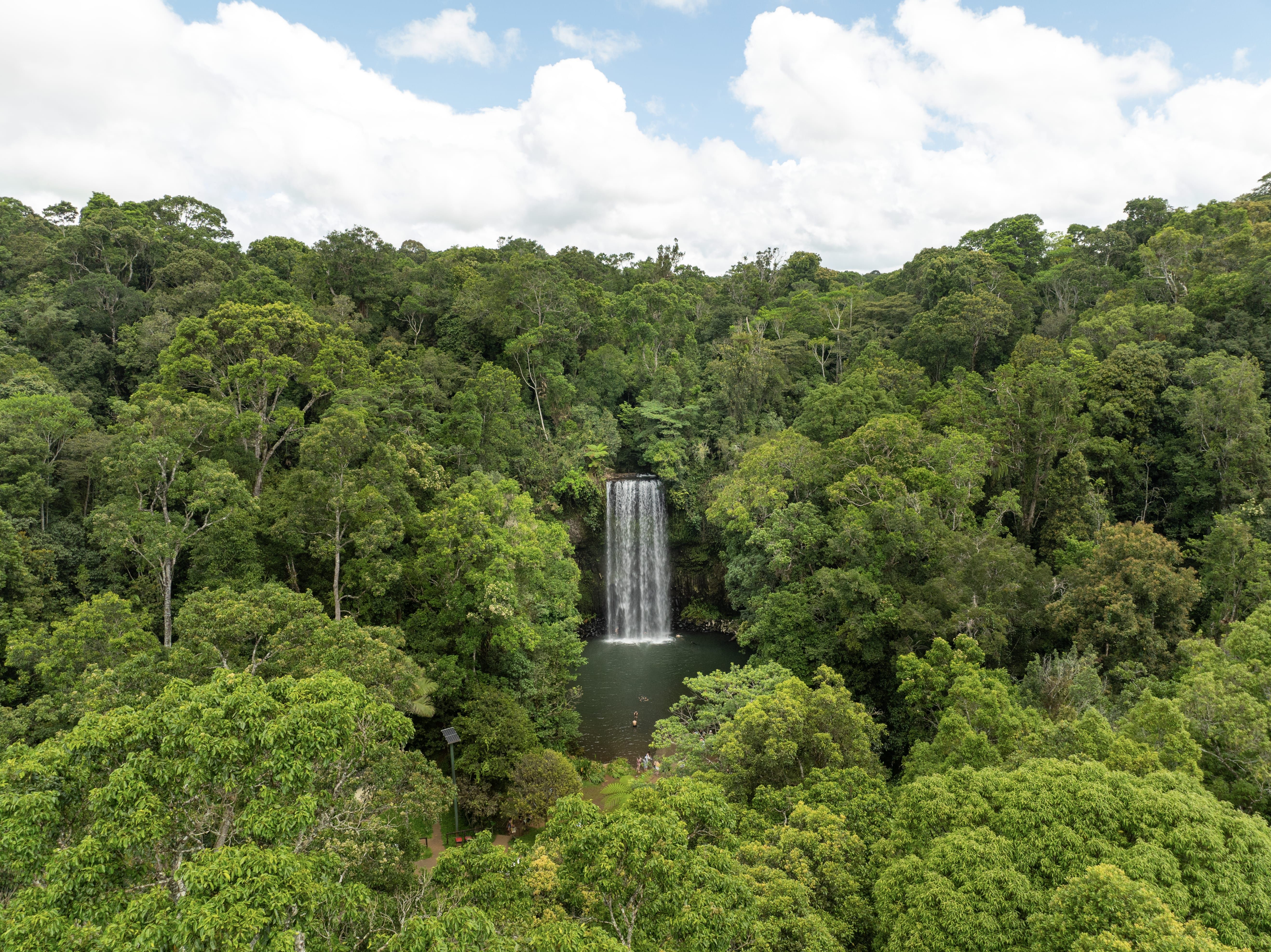 Millaa Millaa Falls (Image Credit: Tourism and Events Queensland)