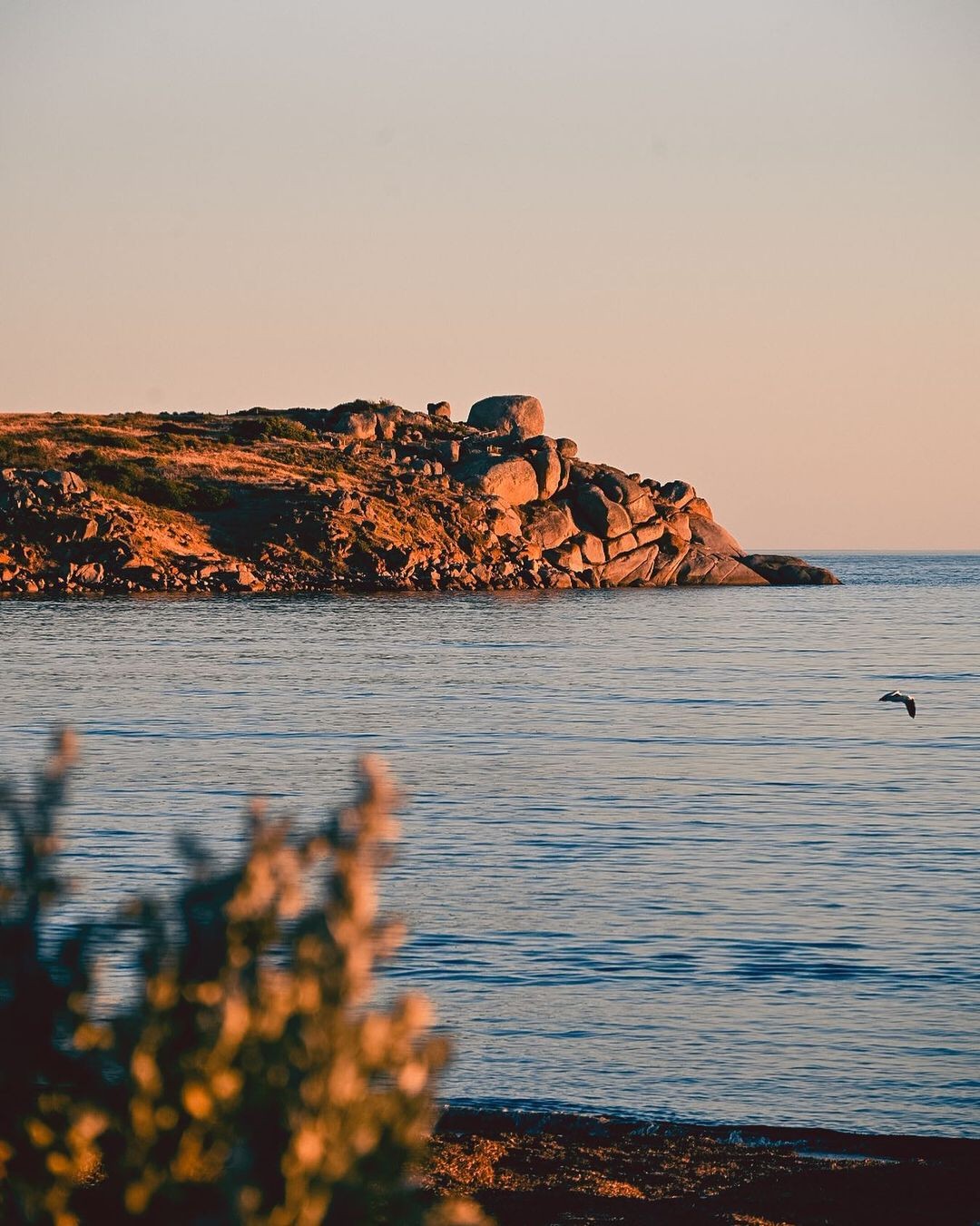 City of Victor Harbor