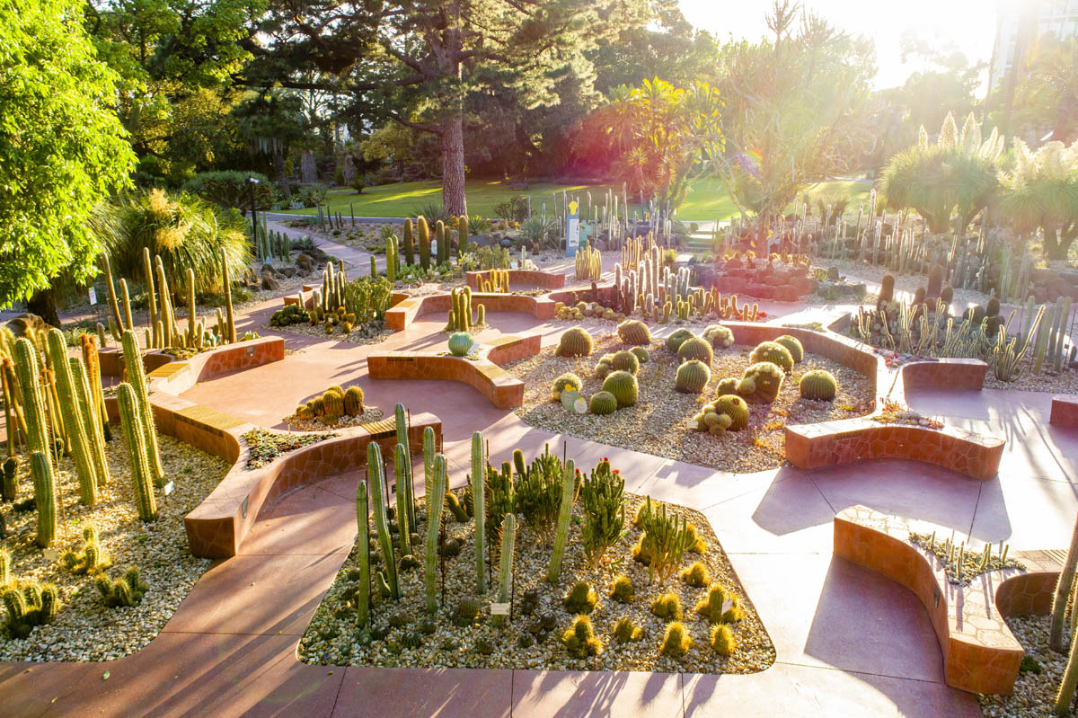 Royal Botanic Gardens (Image Credit: Visit Melbourne) 