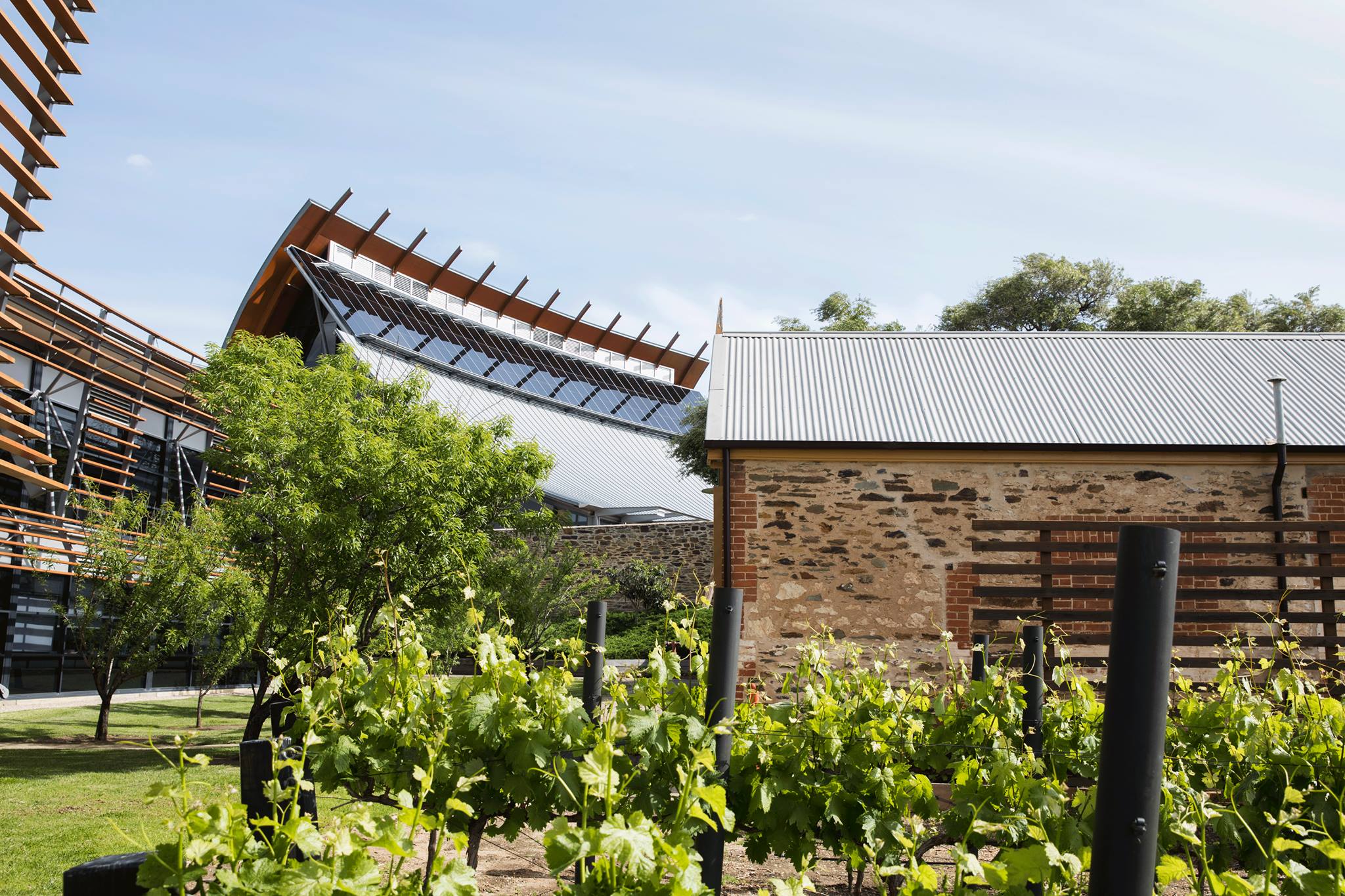 National Wine Centre
