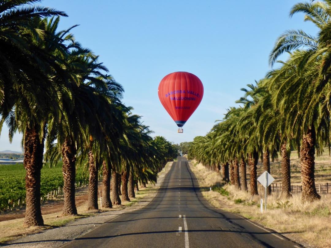 Barossa Valley Ballooning