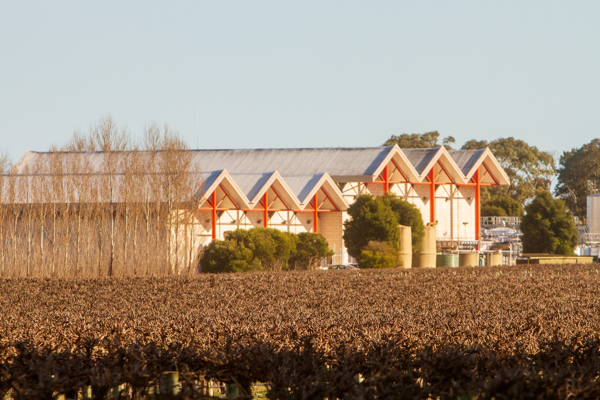 Rymill Coonawarra