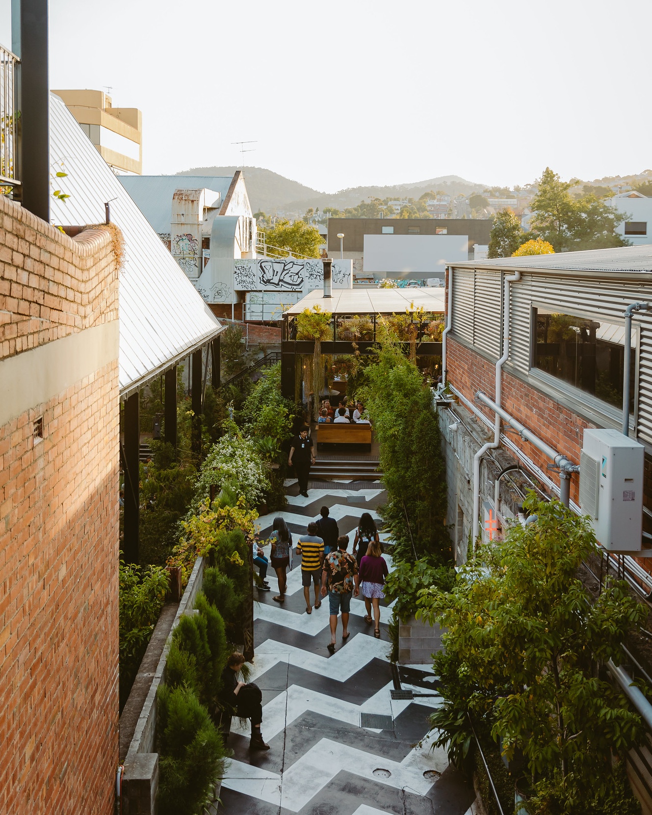 In The Hanging Garden