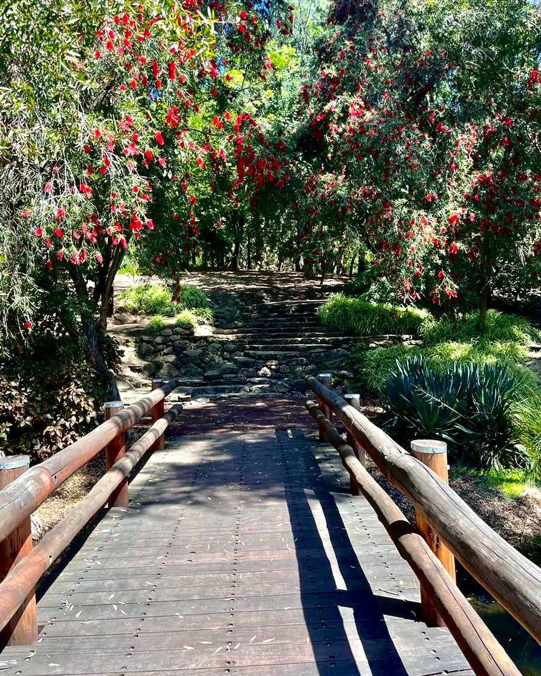 John Oldham Park (Image Credit: IG @oliviaannabar)