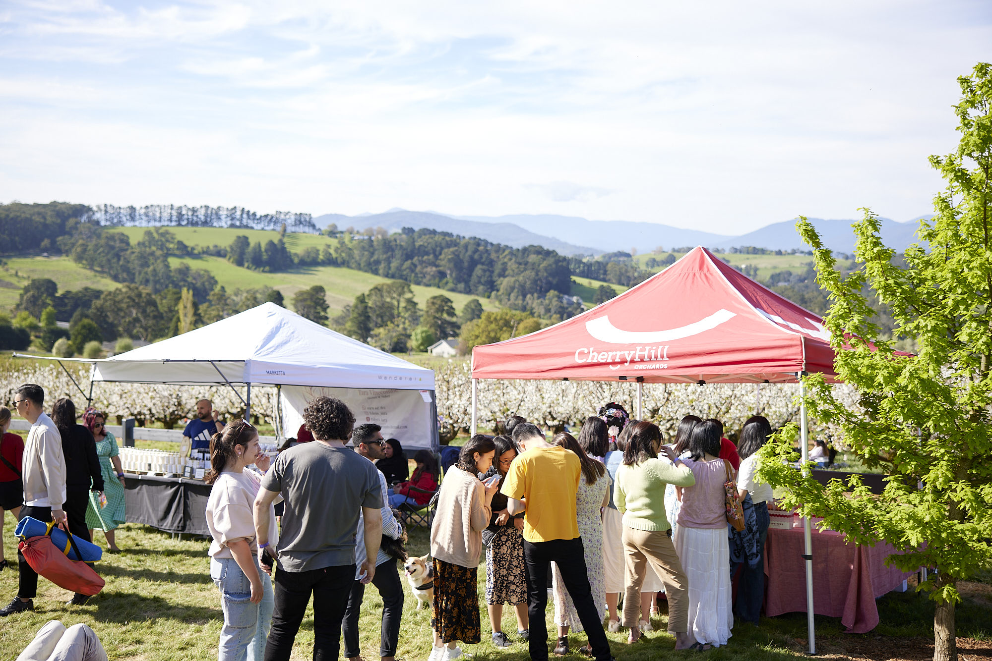 CherryHill Orchards
