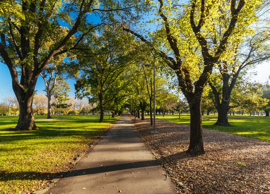 Darling Gardens (Image Credit: Adobe Stock)