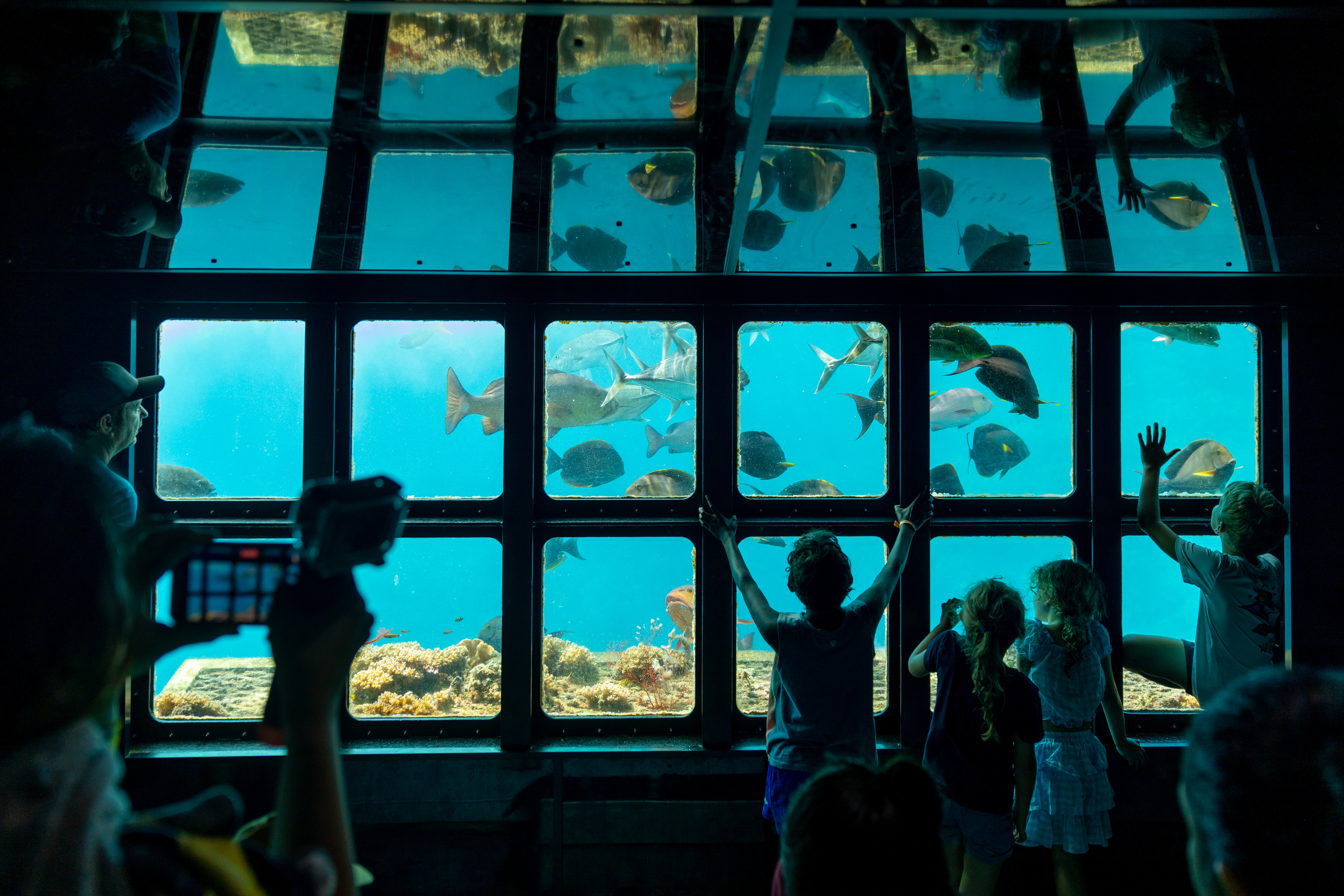 Cairns (Photo credit: Tourism and Events Queensland)