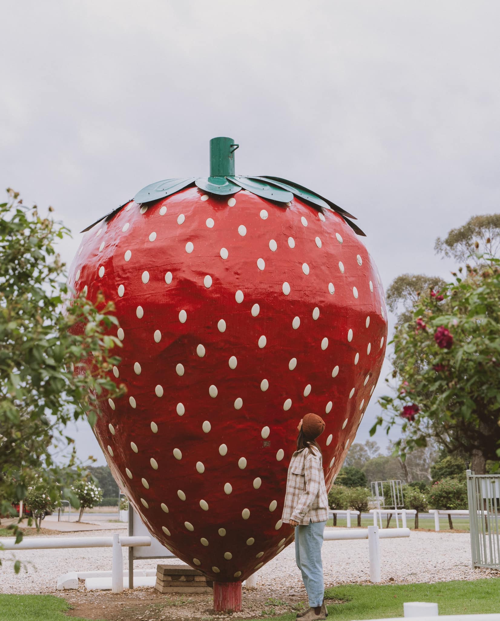 The Big Strawberry