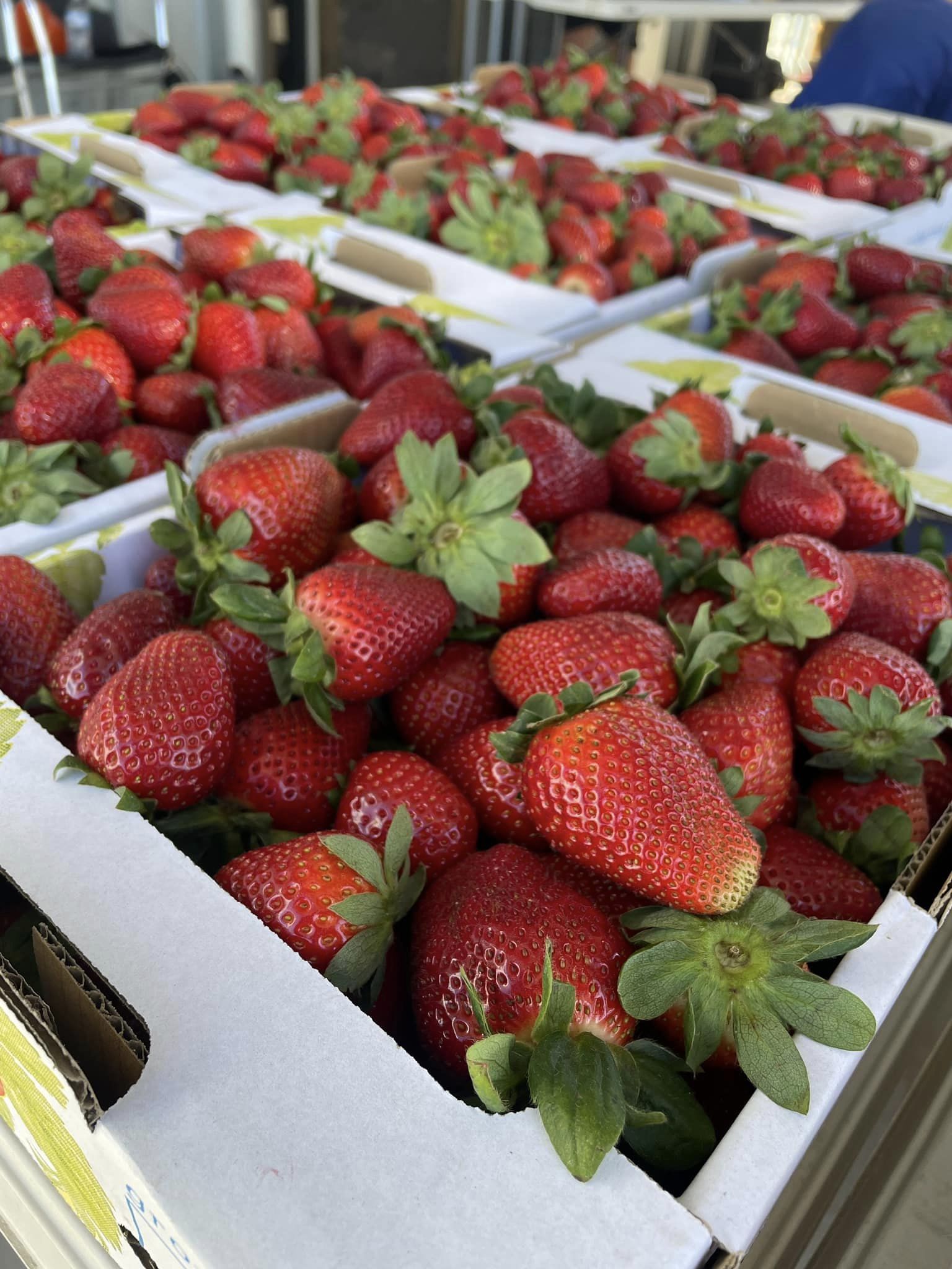 H&N Strawberries 