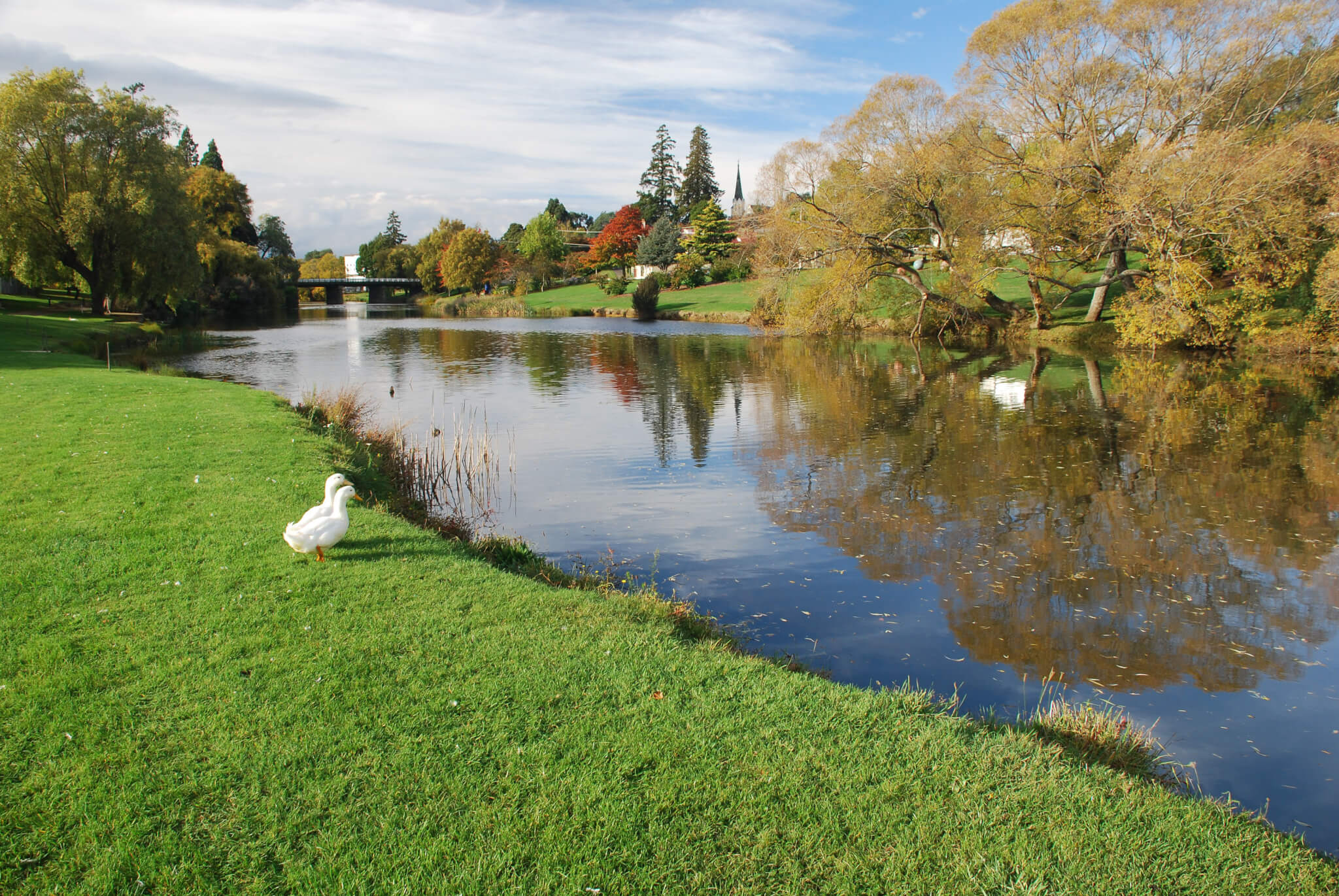 Deloraine Riverside Park (Image Credit: Tasmania)