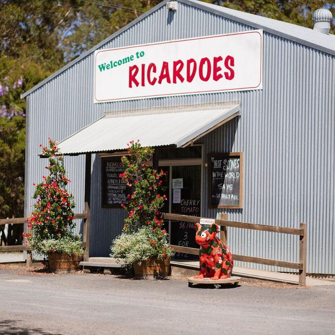 Ricardoes Tomatoes