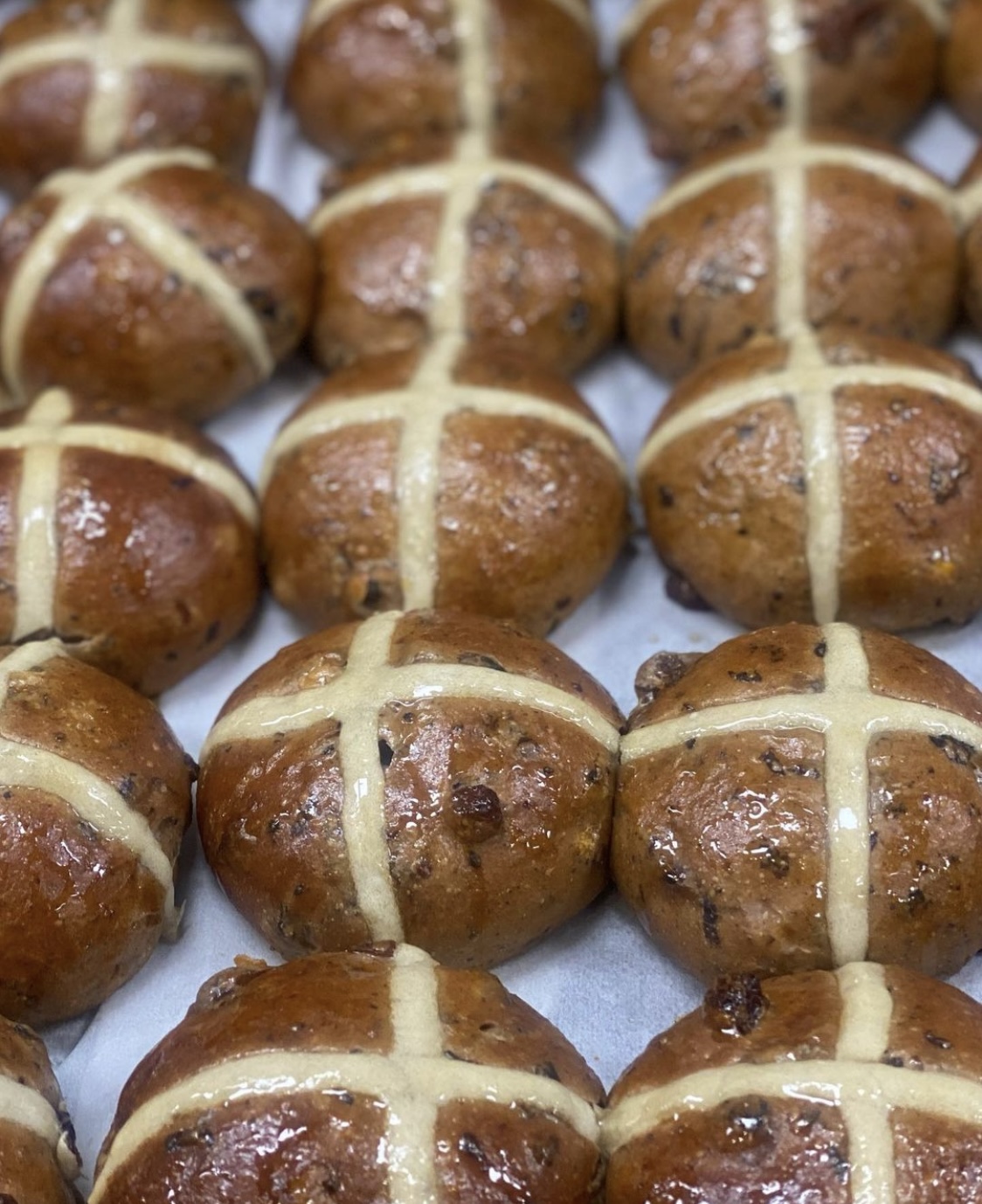 Falco Bakery