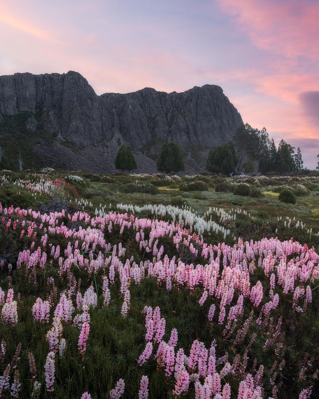 Walls of Jerusalem National Park (Image Credit: Daniel Clark Photography)