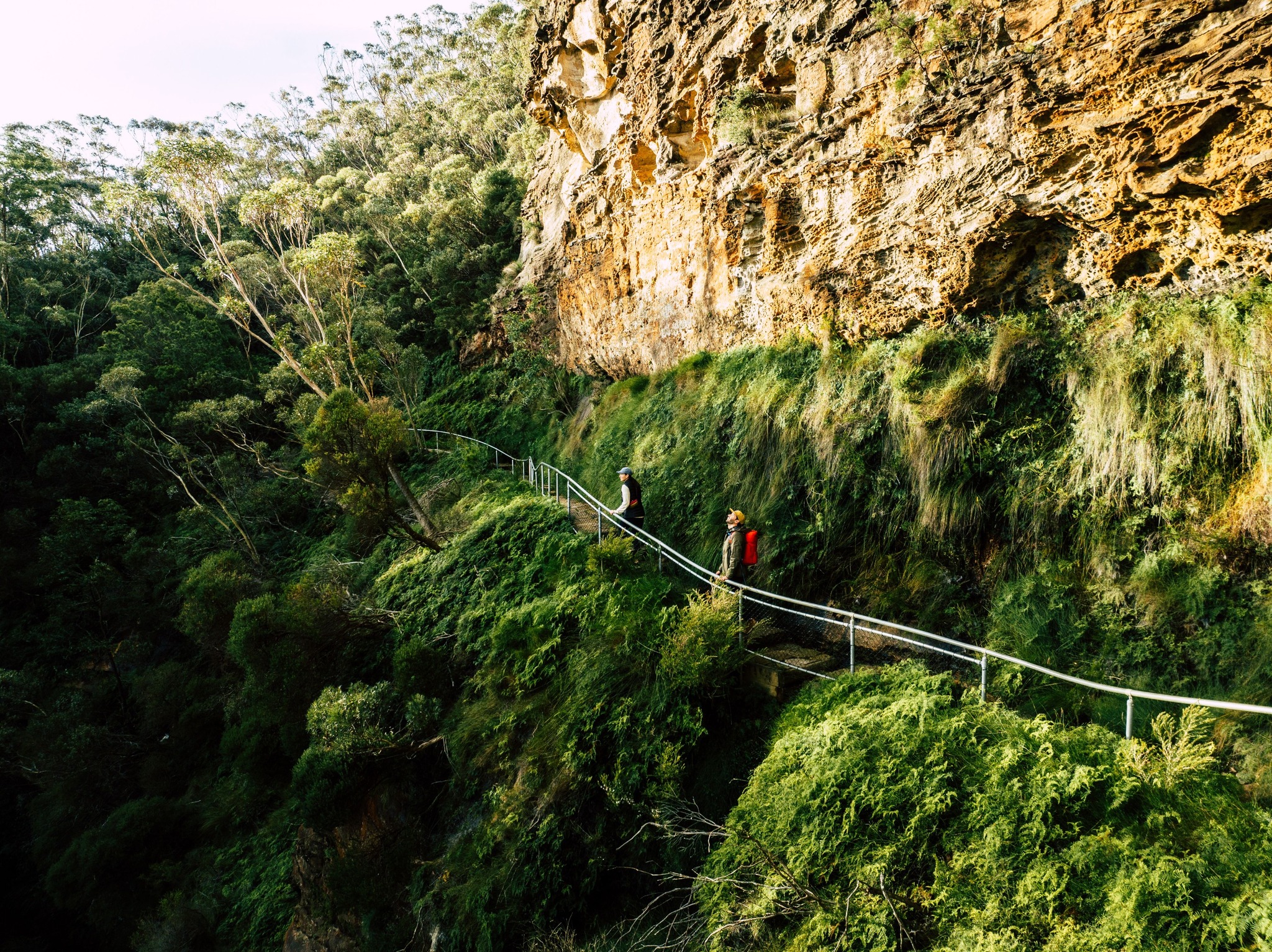 Grand Clifftop Walk (Image Credit: NSW National Parks) 