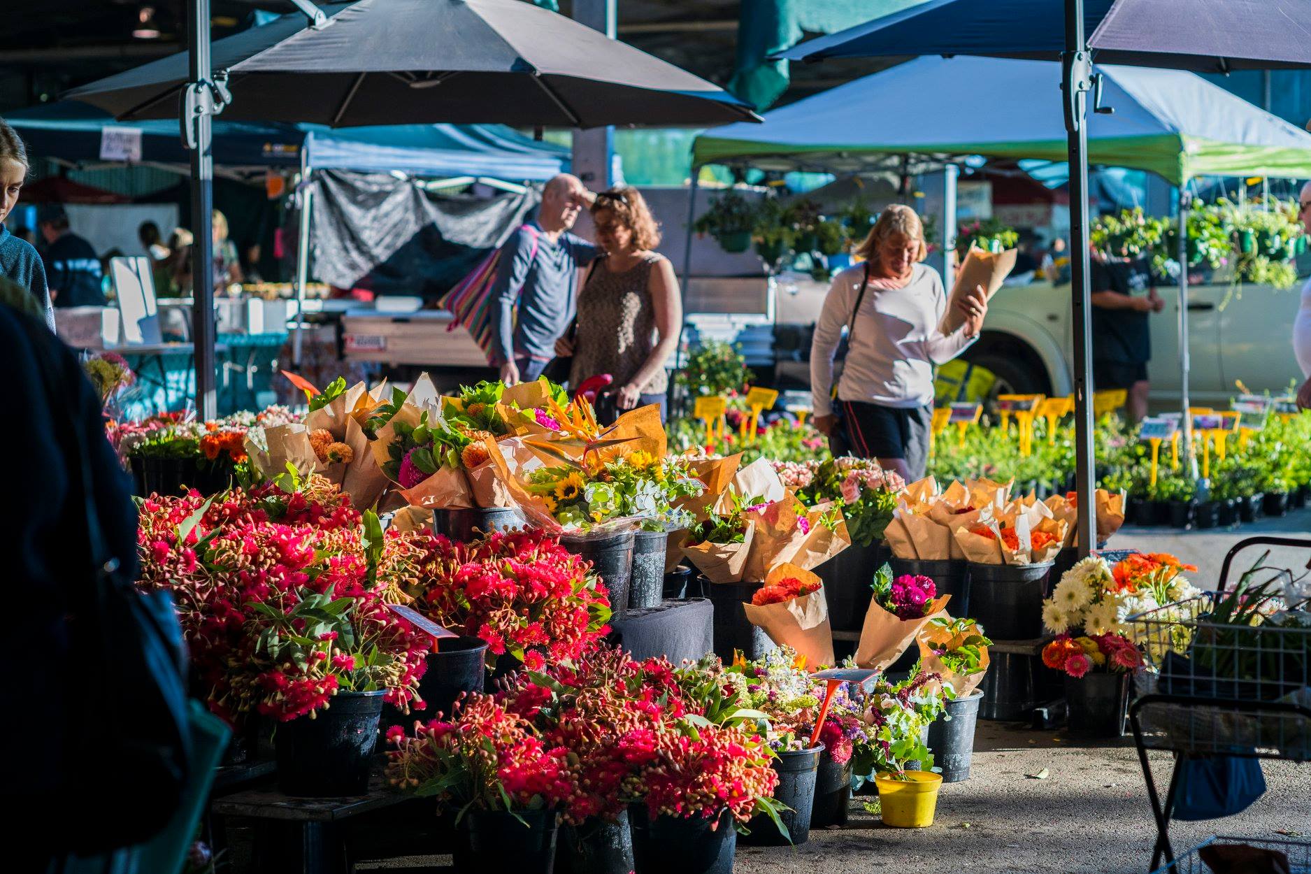 Capital Region Farmers Market