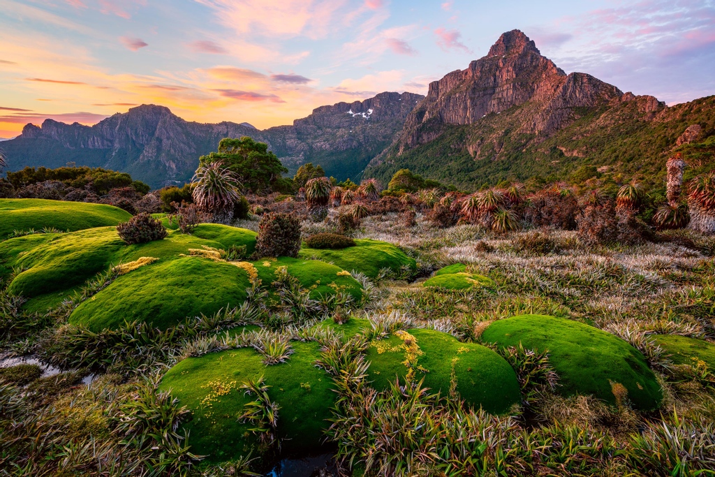 Southwest National Park (Image Credit: Luke Tscharke)