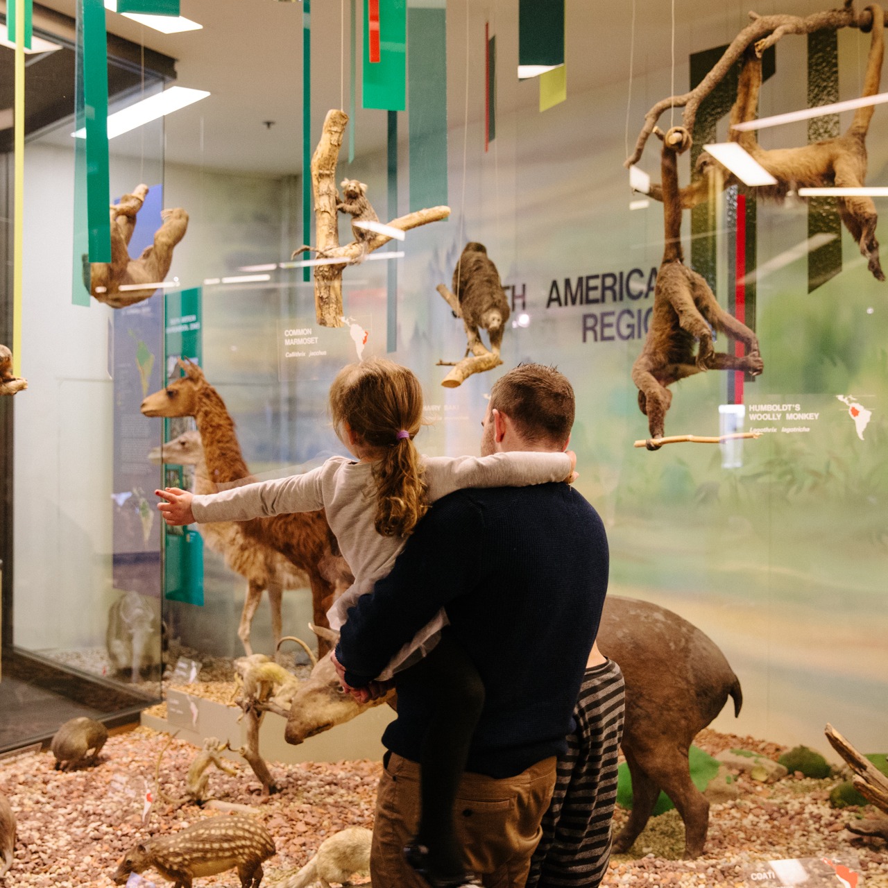 South Australian Museum