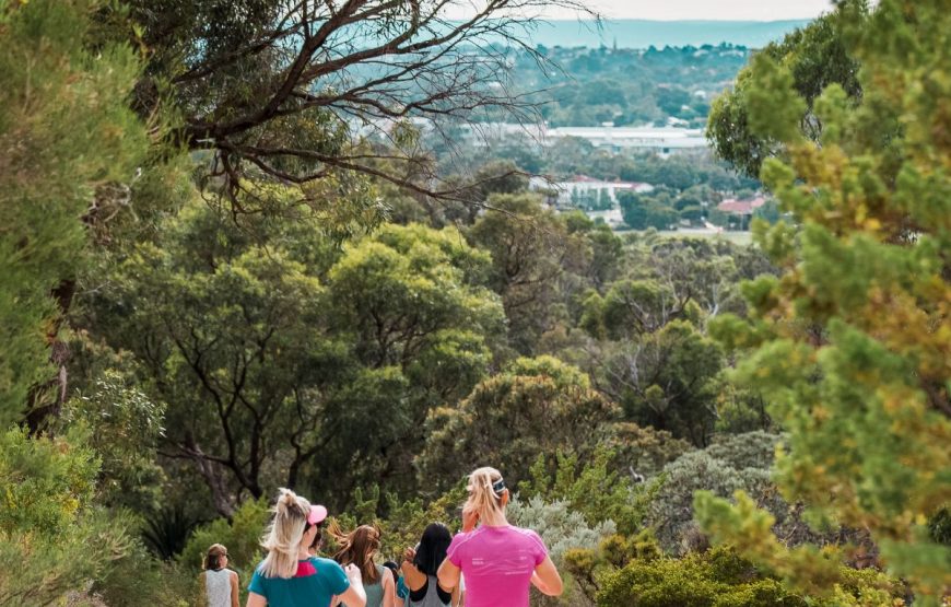 Bold Park (Image Credit: The Hike Collective)