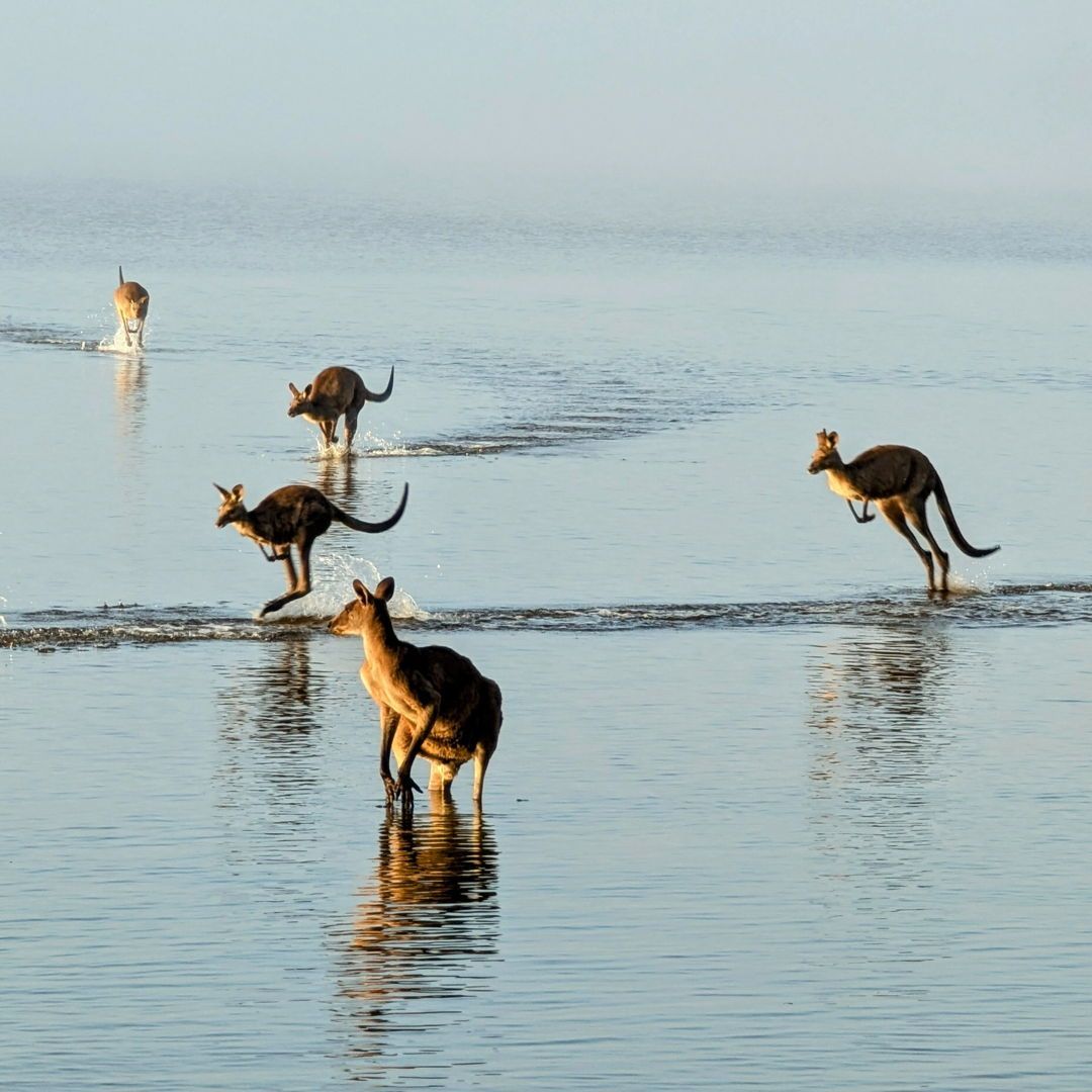 Noosa Everglades (Image Credit: Ben Mears)
