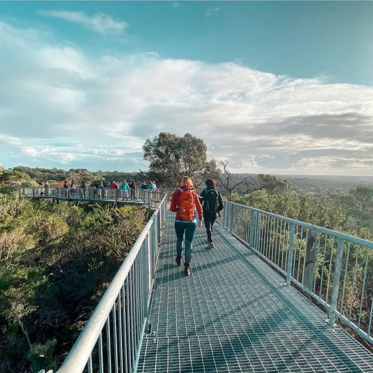 Bush to Beach Trail (Photo credit: Hello Perth)