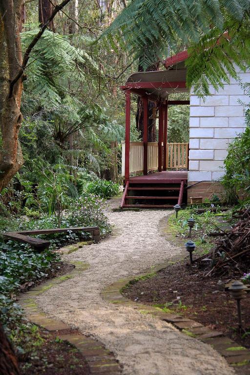 Fernglen Forest Retreat