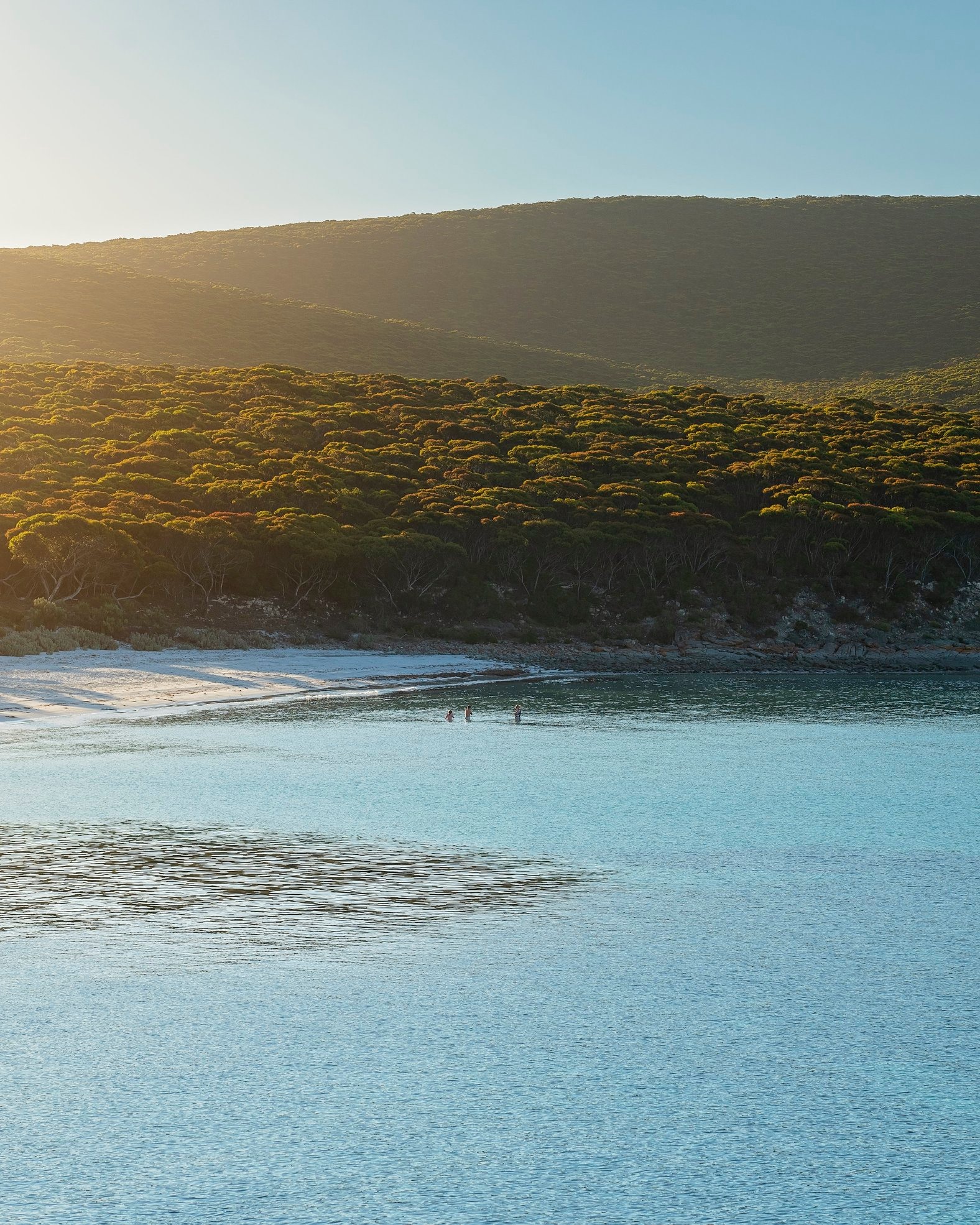 Memory Cove (Photo credit: South Australia)