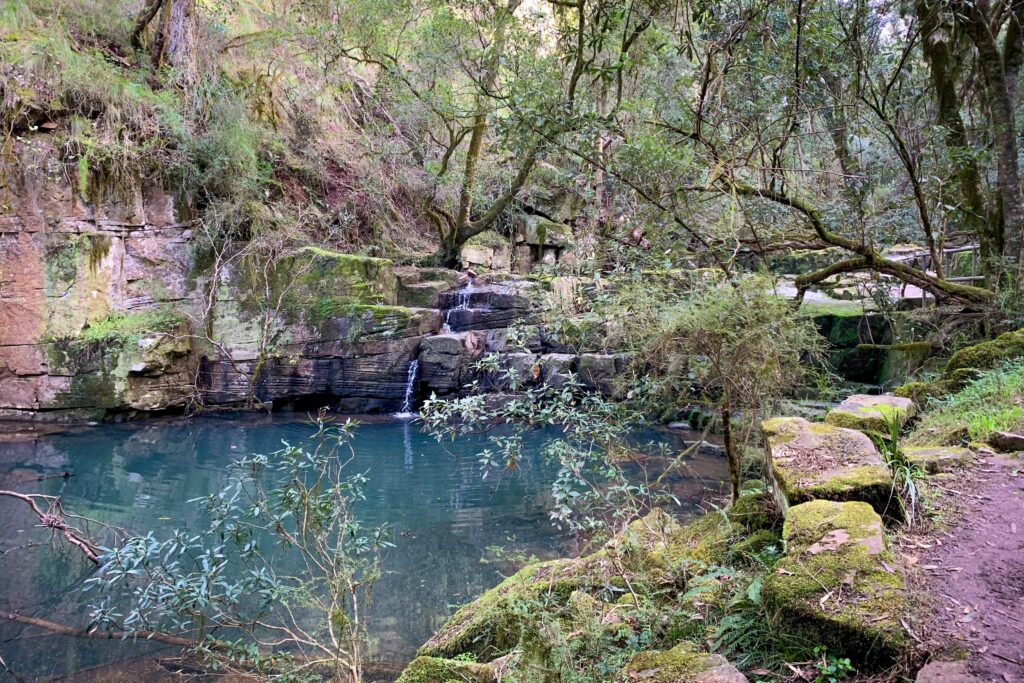 Bataluk Cultural Trail - Mitchell River National Park (Image Credit: Jessica Shapiro)